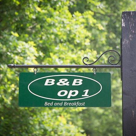 Bed & Breakfast Orvelte Ngoại thất bức ảnh
