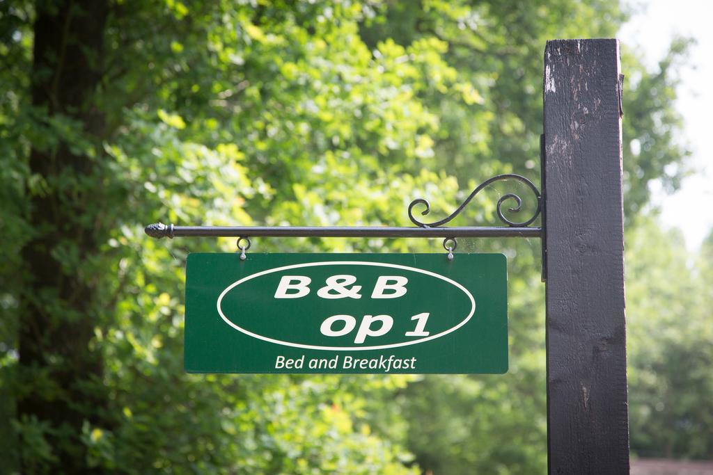 Bed & Breakfast Orvelte Ngoại thất bức ảnh